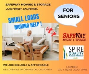 small moves for seniors